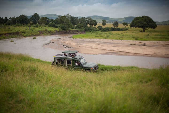Safari