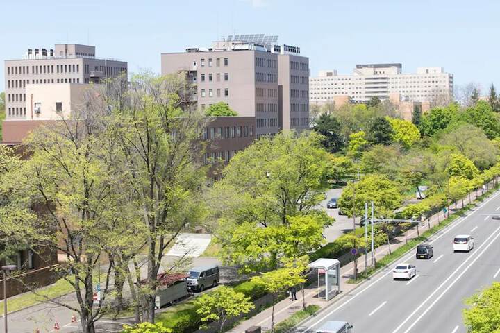 View from room