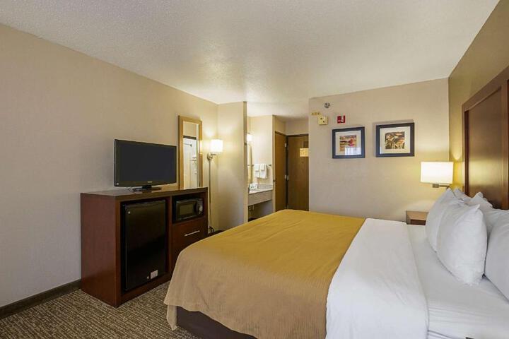 Standard with 1 King Bed (10 of 14)