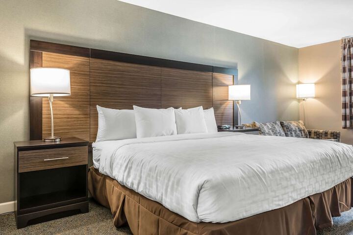 1 King Bed (5 of 16)