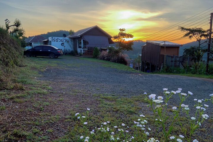 Property Grounds 75 of 105