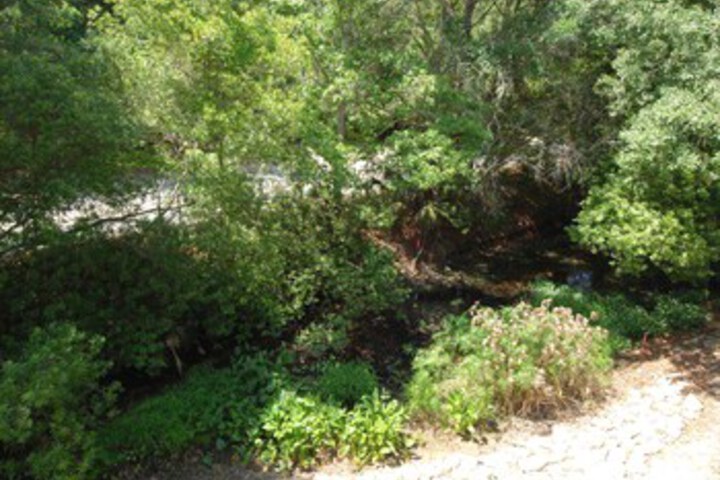 Property Grounds 20 of 26