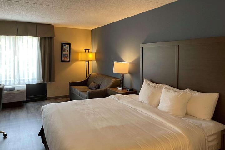 1 King Bed (6 of 15)