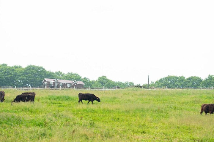 Property Grounds 26 of 27