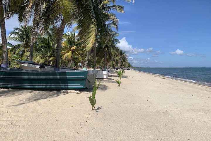 Beach 54 of 77
