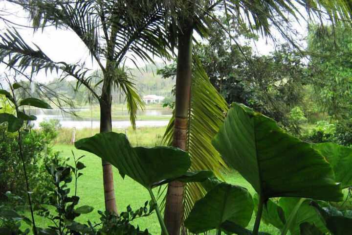 Property Grounds 14 of 29