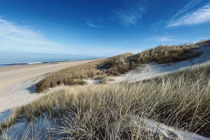 Beach 36 of 41