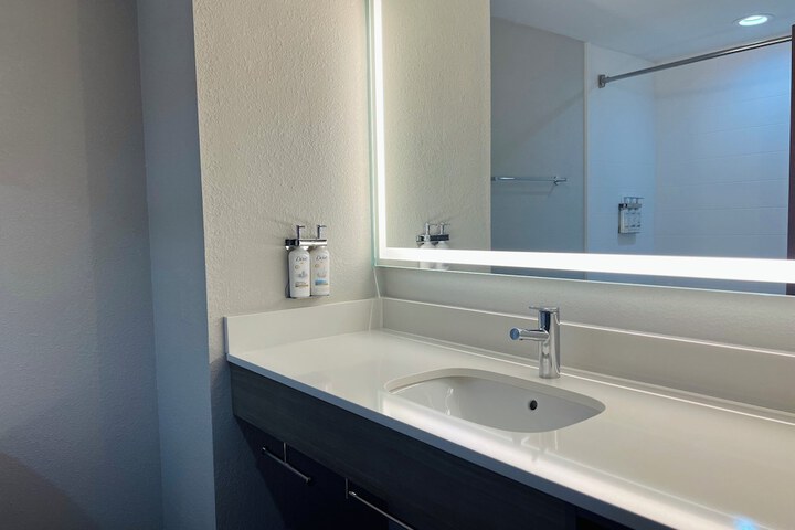 1 King Bed Standard Mobility Accessible Tub (12 of 15)