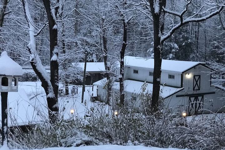 Property Grounds 43 of 55