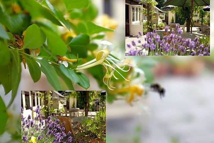 Spa and Wellness Pictures