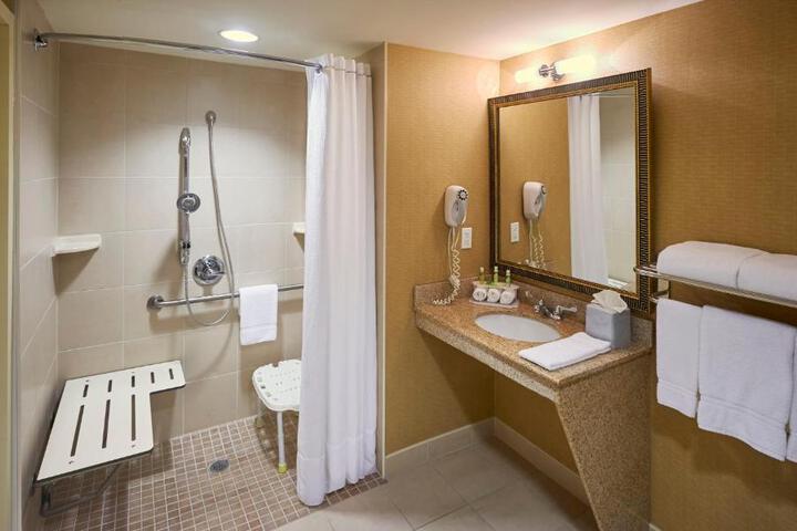1 King Standard Mobility Accessible Transfer Shower (1 of 7)