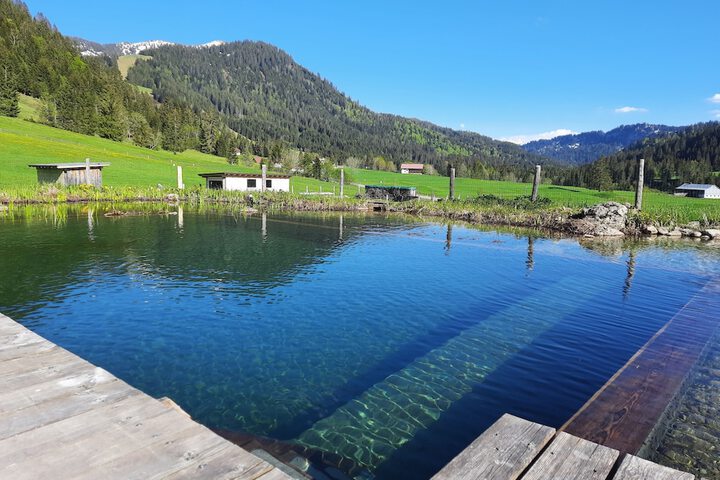 Pool 41 of 47