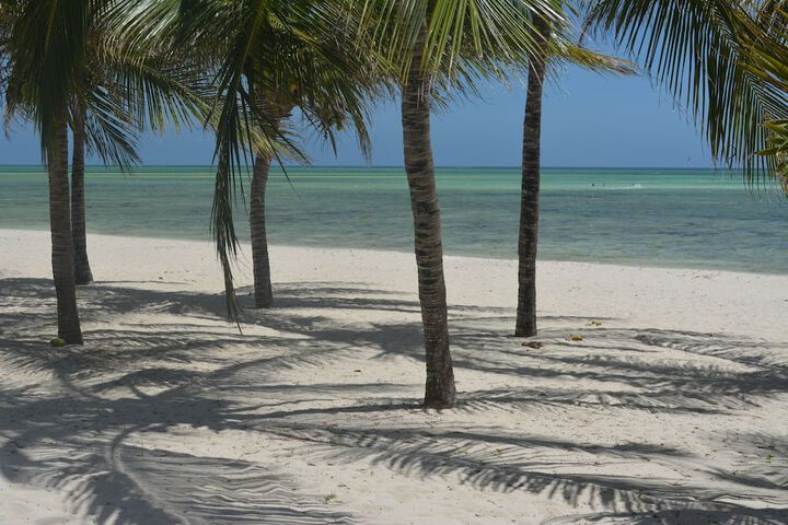 Beach 31 of 39