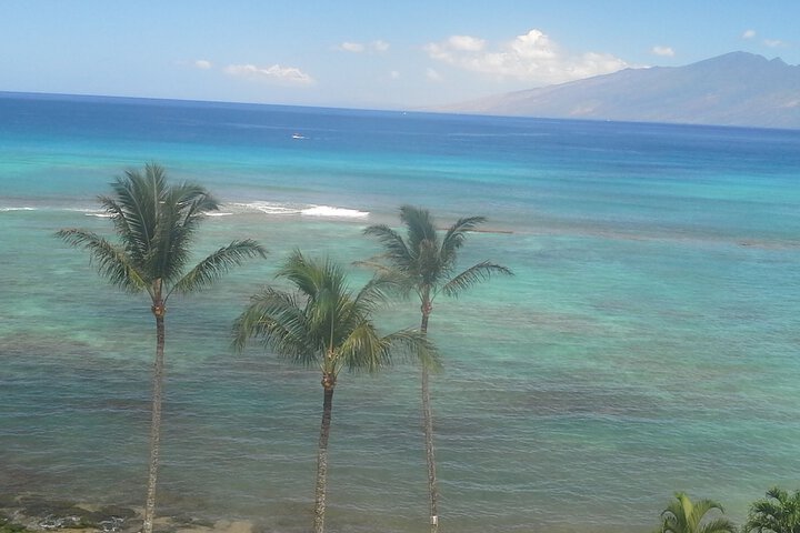 Hotel View 460 of 484