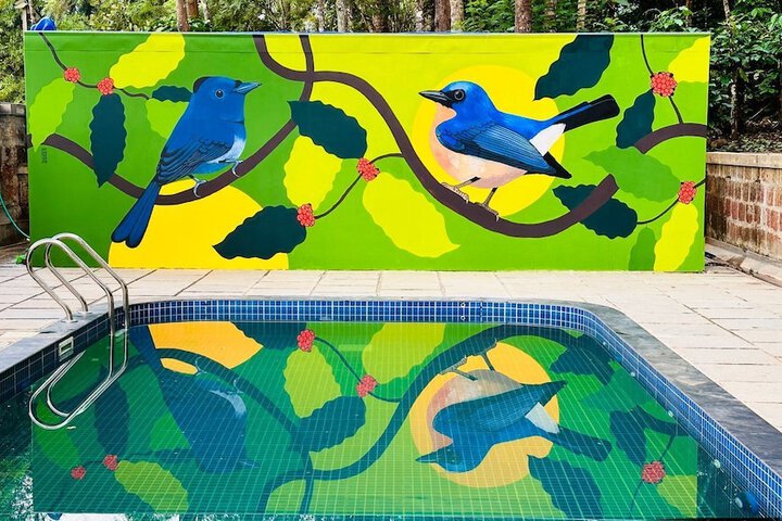 Pool 50 of 87