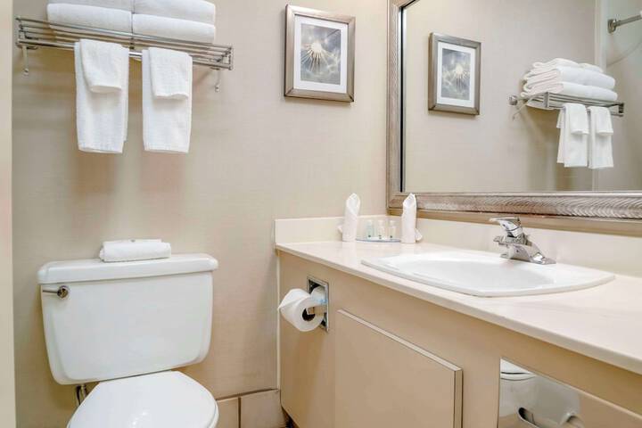 Standard Room, King or Two Doubles (5 of 6)