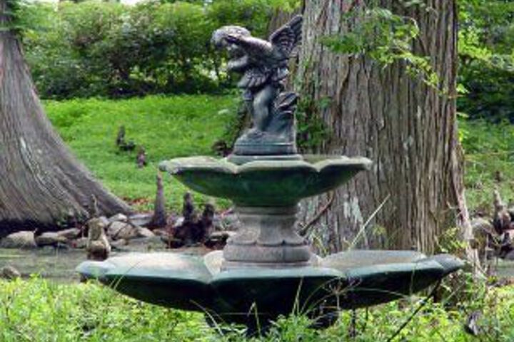 Property Grounds 18 of 20