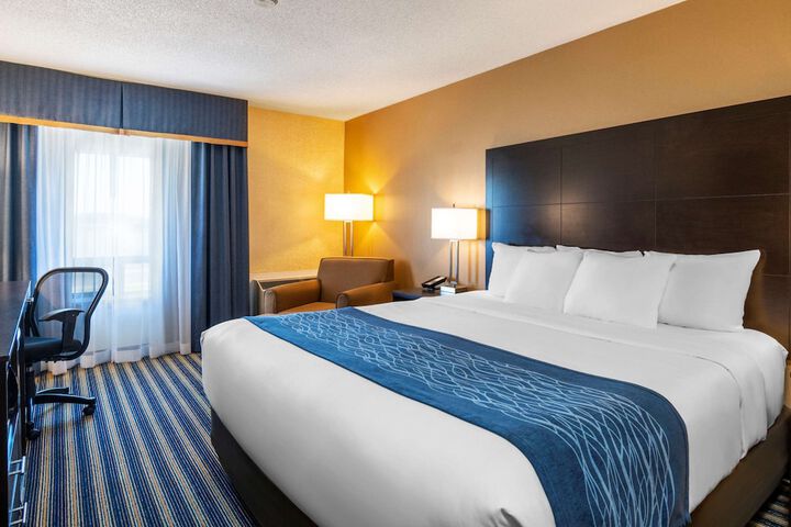 1 King Bed (8 of 10)