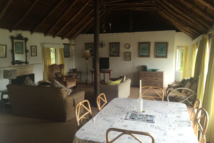 Room 18 of 43