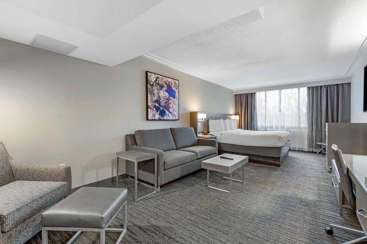 Suite 1 King Bed Studio Sofa Bed Microwave and Refrigerator WiFi (13 of 13)