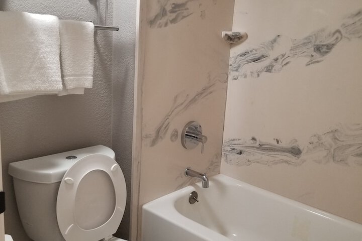 1 King Bed Mobility Accessible Roll in Shower (9 of 16)