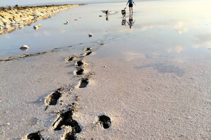 Beach 60 of 64