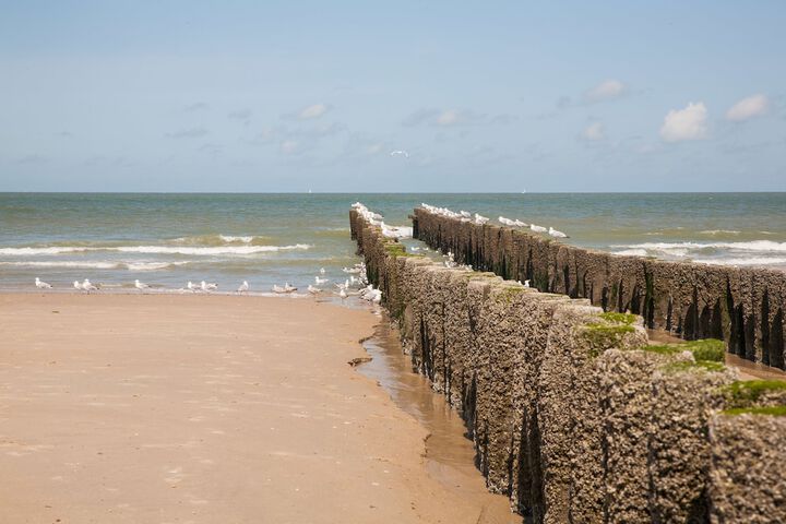 Beach 40 of 42