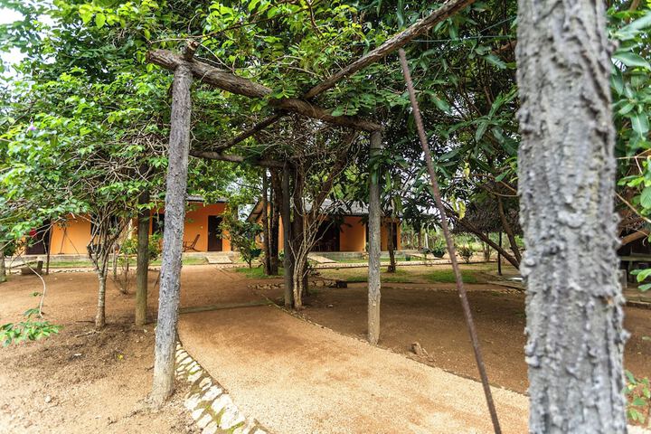 Property Grounds 24 of 35