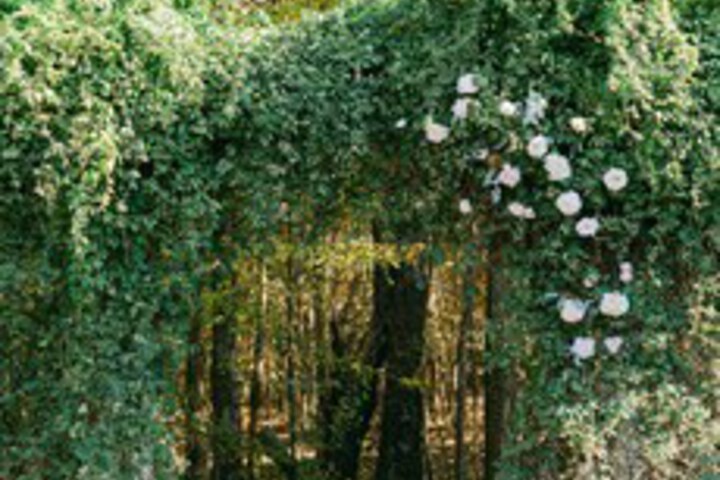 Hotel Exterior 33 of 120