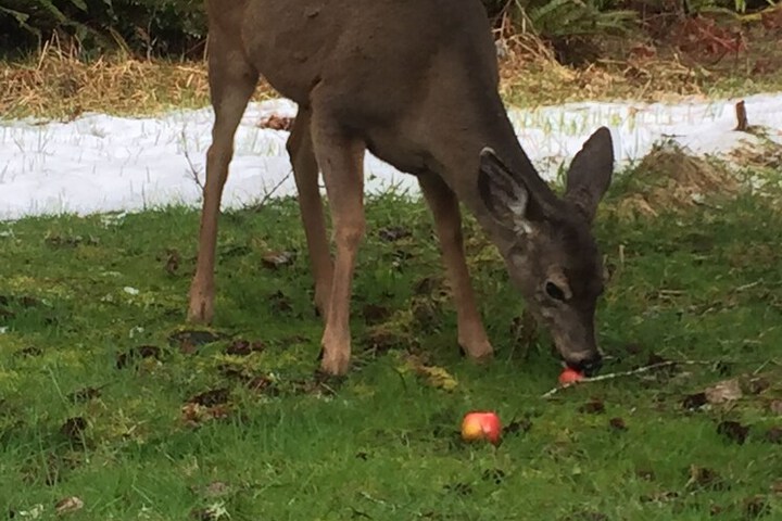 Hotel View 296 of 311
