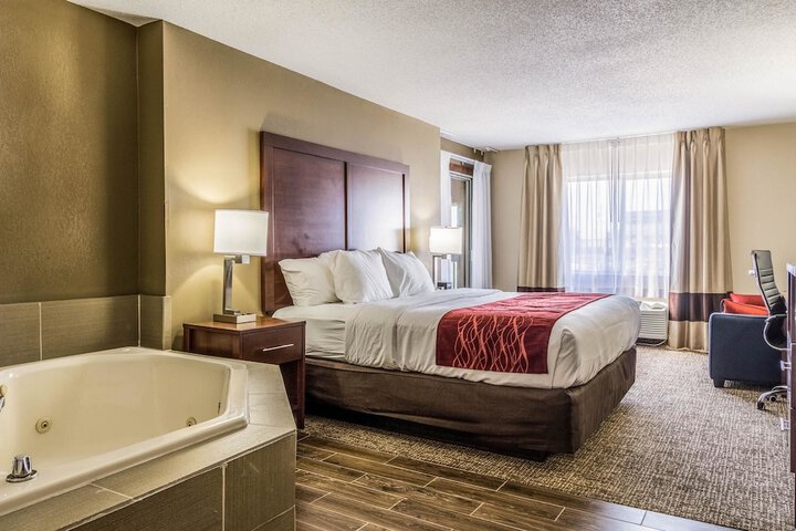 Standard King Bed Accessible (8 of 17)