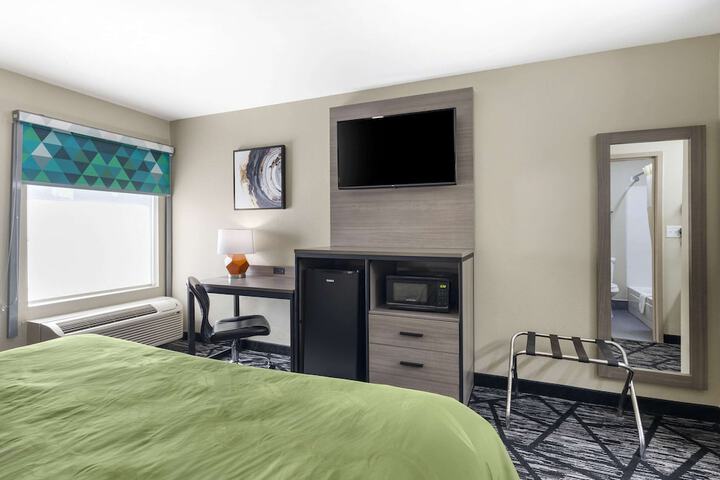 1 King Bed (10 of 14)