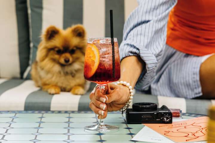 Pet-friendly