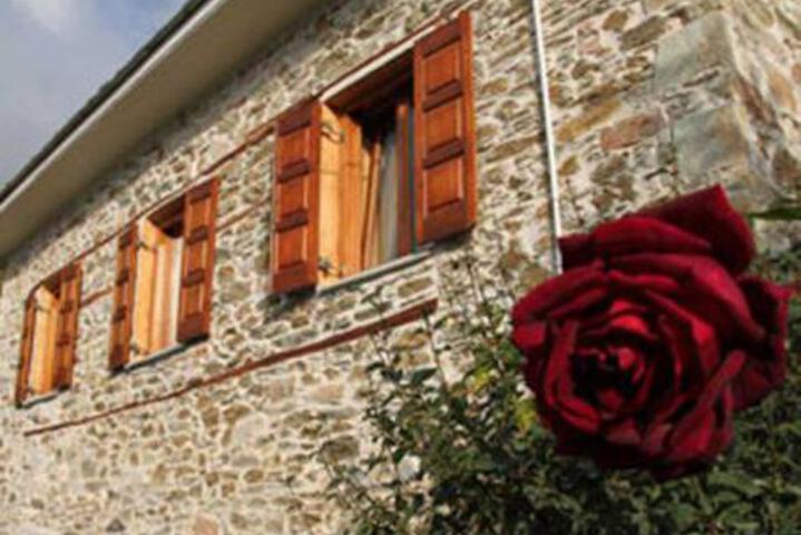 Triantafillies Guesthouse