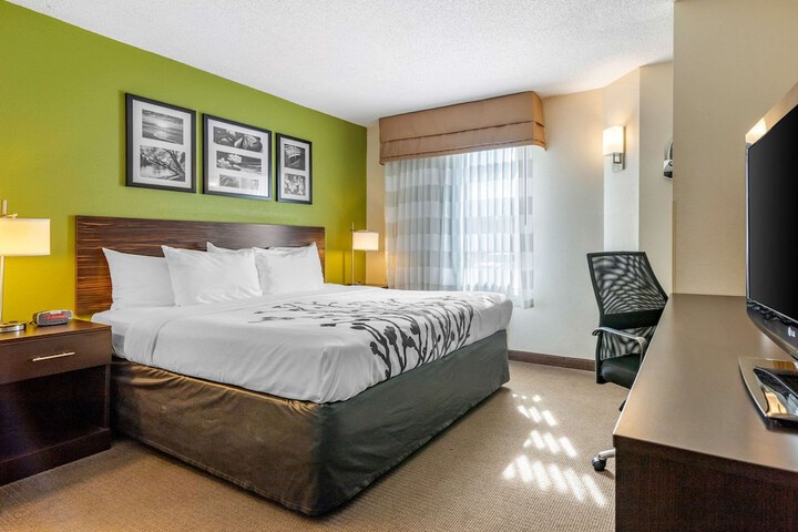 1 King Bed (9 of 12)