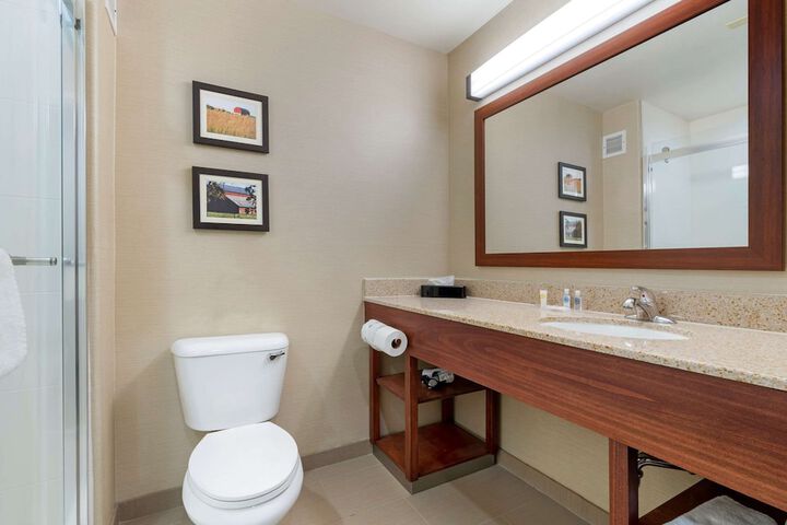 1 King Bed Suite (1 of 16)