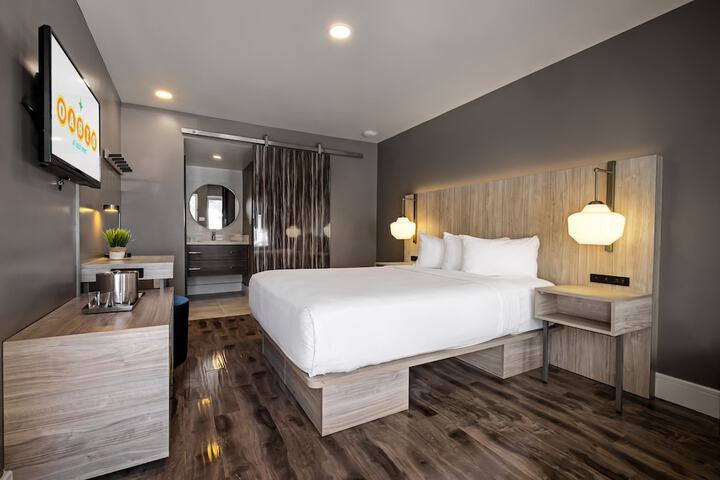 Gold Spike Queen Room 21 and Over (10 of 20)