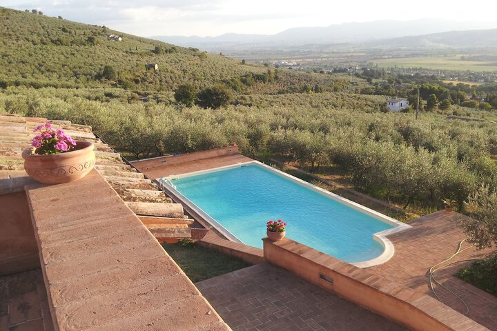Pool 19 of 36