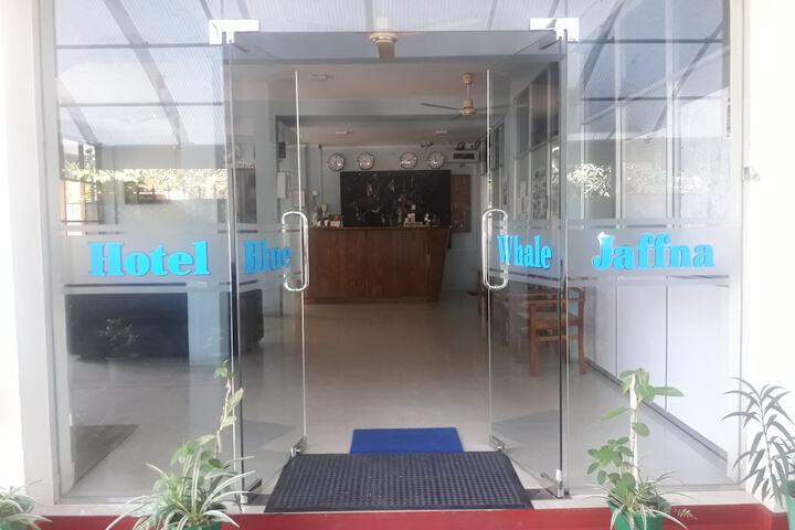 HOTEL BLUE WHALE