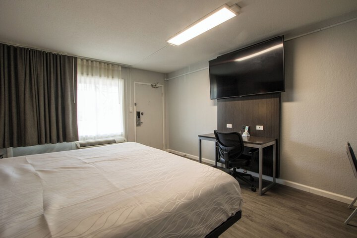 1 King Bed Pet Friendly Accessible (86 of 90)
