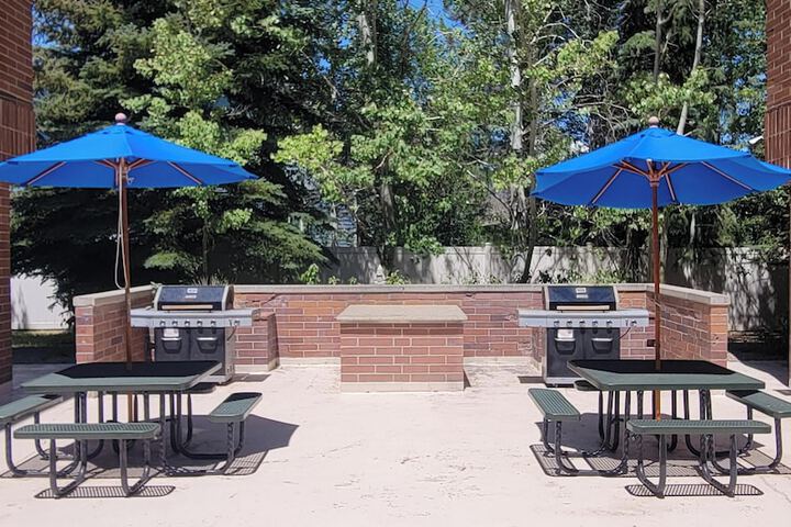 BBQ/picnic area