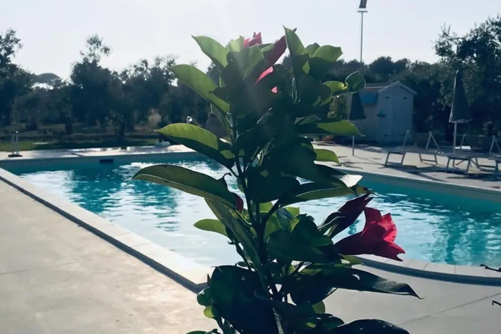Pool 9 of 12