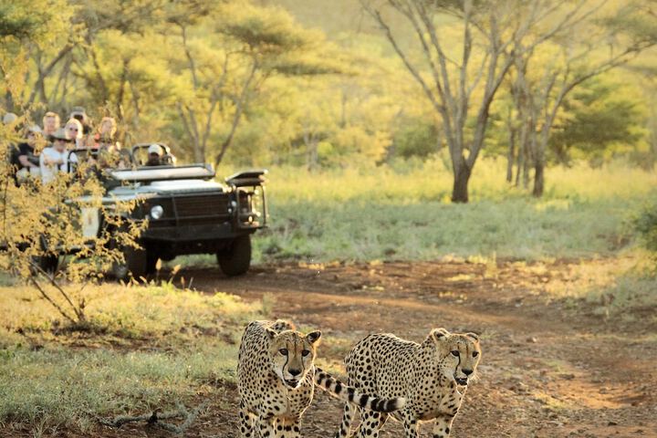 Game viewing