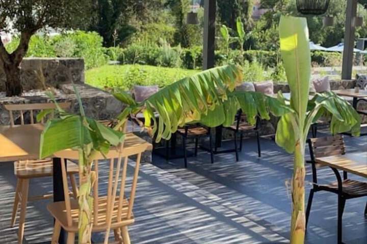 Terrace/Patio 40 of 46