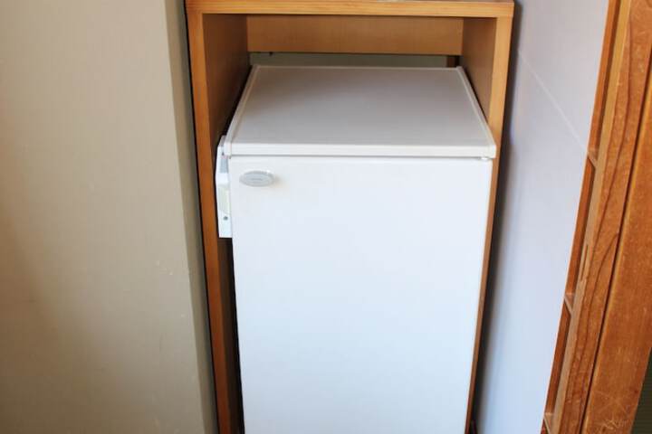Mini-refrigerator
