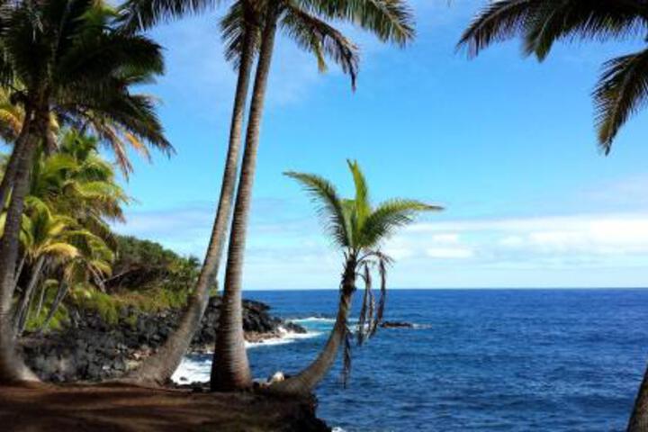 Hale Kii Maka Manu in Kea'au, HI