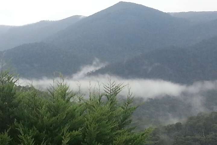 Property Grounds 12 of 22