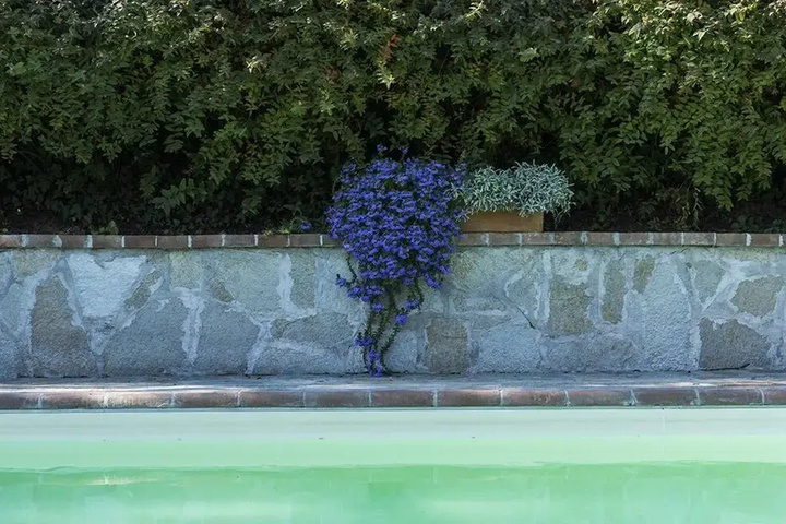 Pool 12 of 26