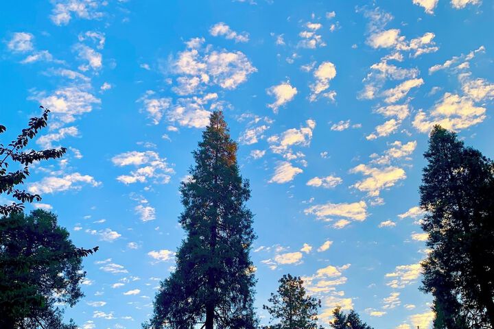 Hotel Exterior 62 of 80