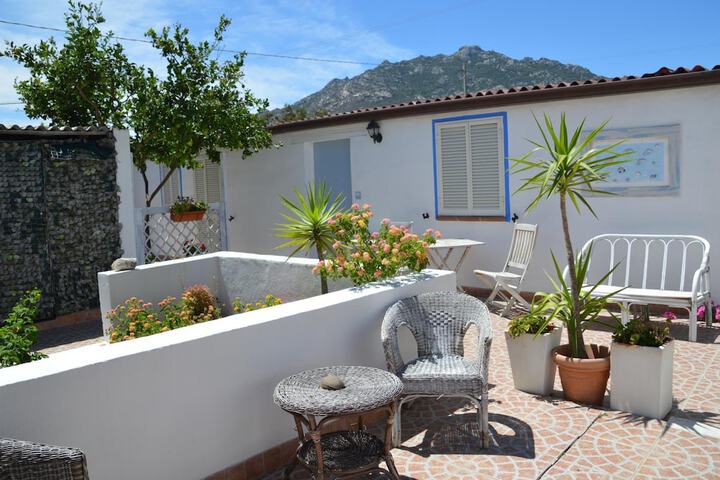 Terrace/Patio 13 of 43